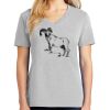 1-Hr Ladies V-Neck T-Shirt Thumbnail