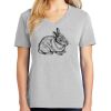 1-Hr Ladies V-Neck T-Shirt Thumbnail